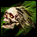 Image 207