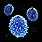 Image 227