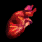 Image 496