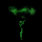 Image 631