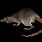 Image 947